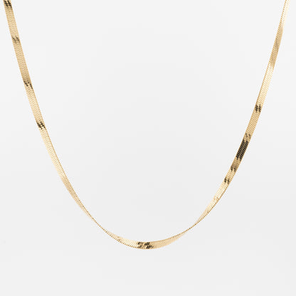 Classic Snake Chain Necklace